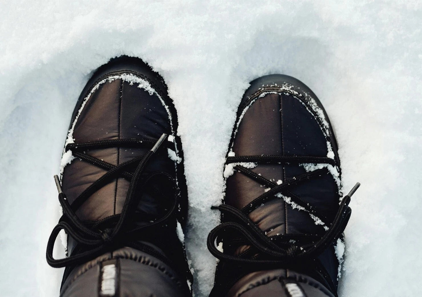 Professional BIRCH protector works on various materials including leather and fabrics effectively